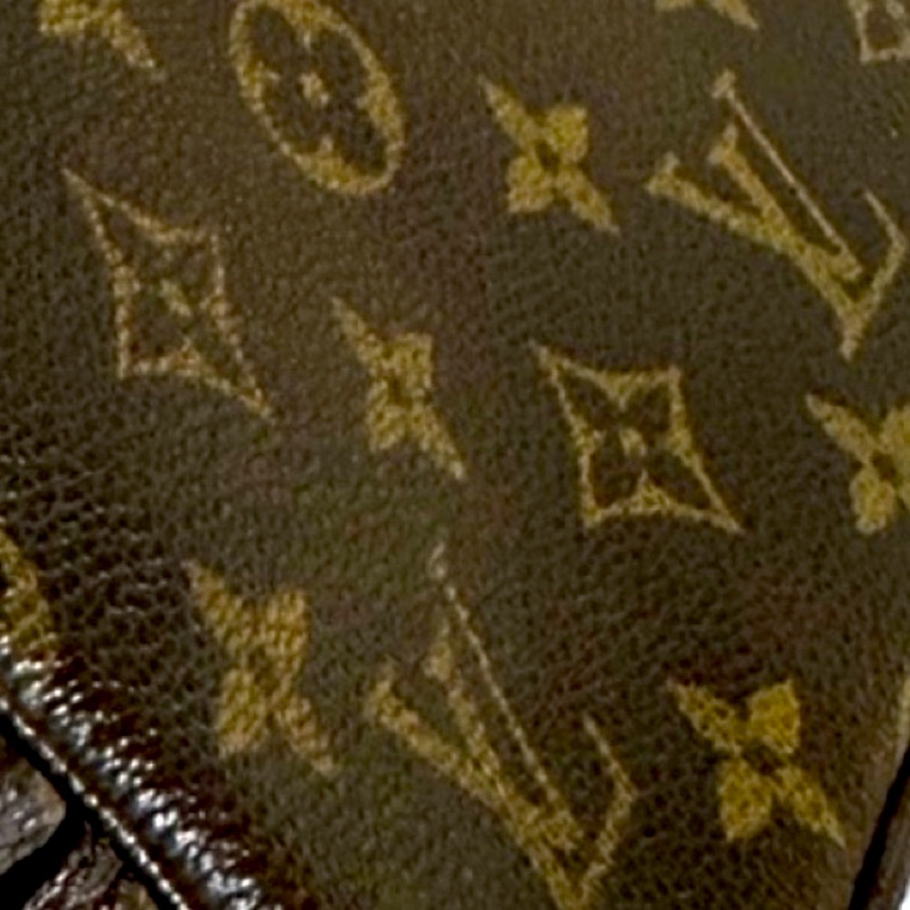 Authentic Louis Vuitton Clutch Bag Case